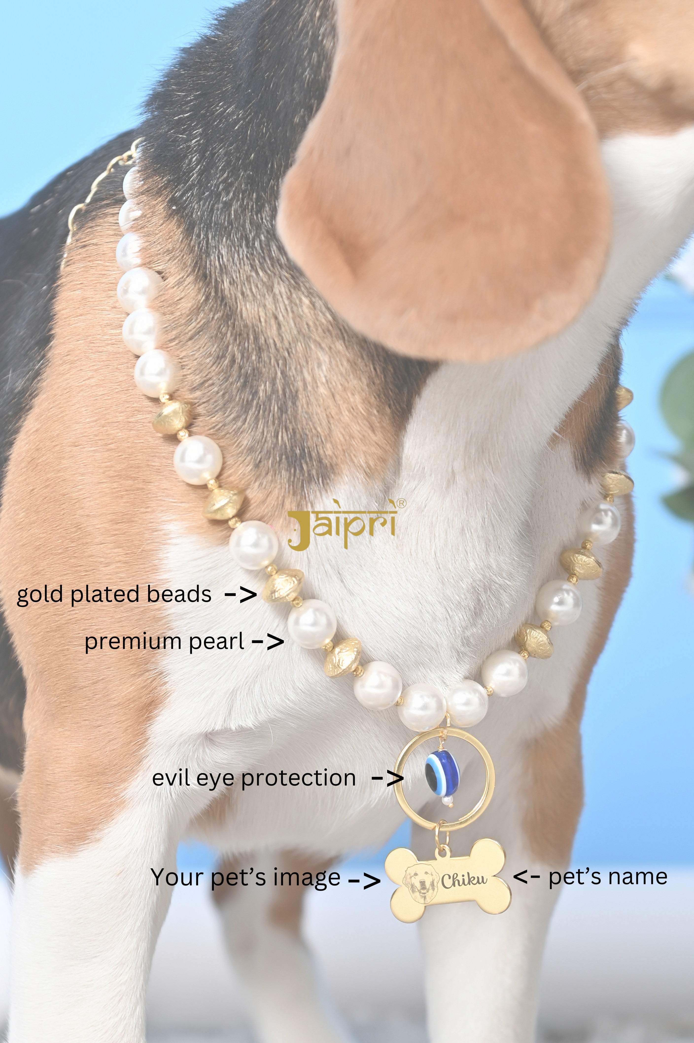 Custom Image and Dog Name Pearl Collar Pet Jewelry