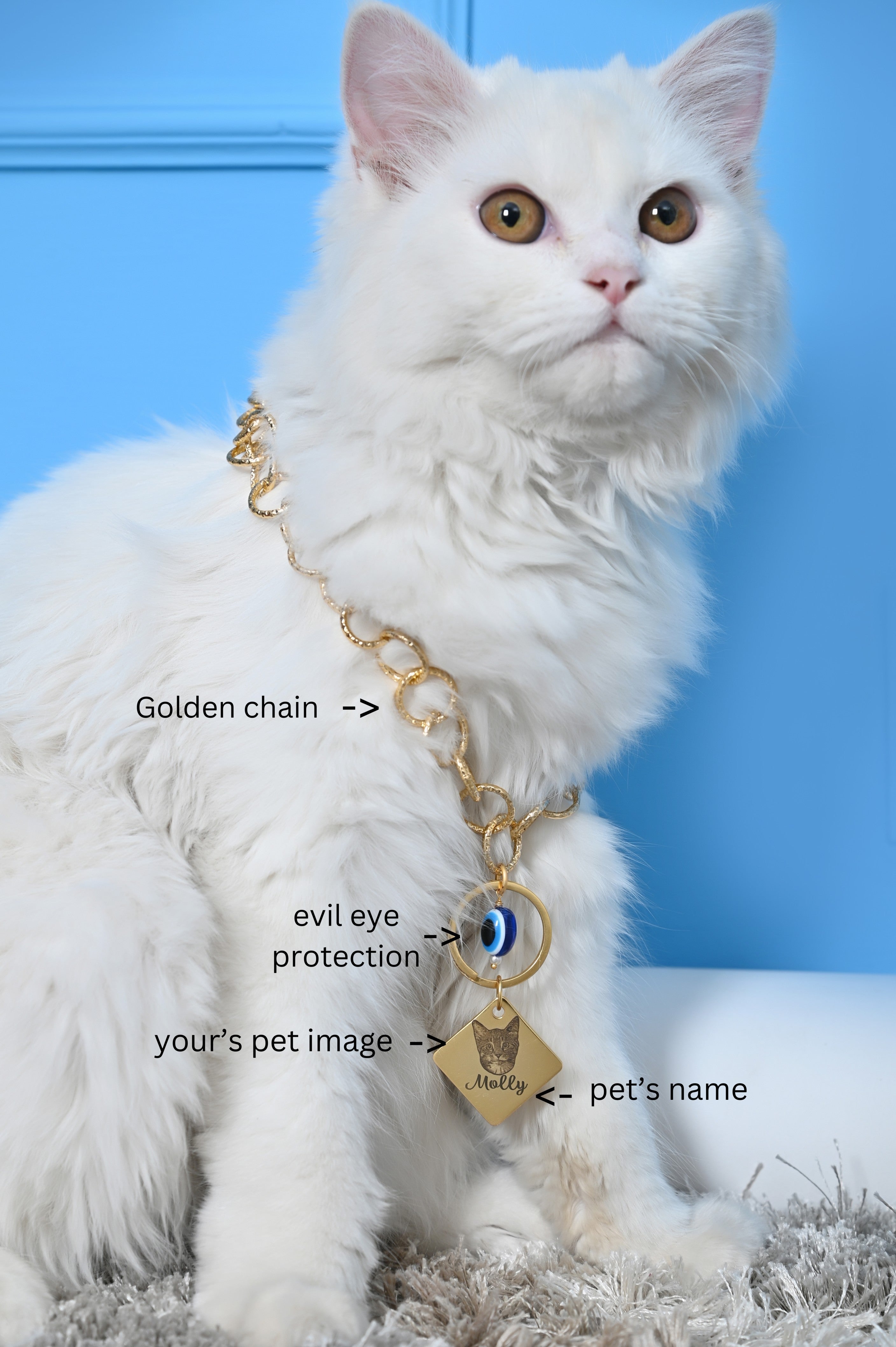 Custom Cat Name and Image Chain Collar Jewelry For Pets Gift