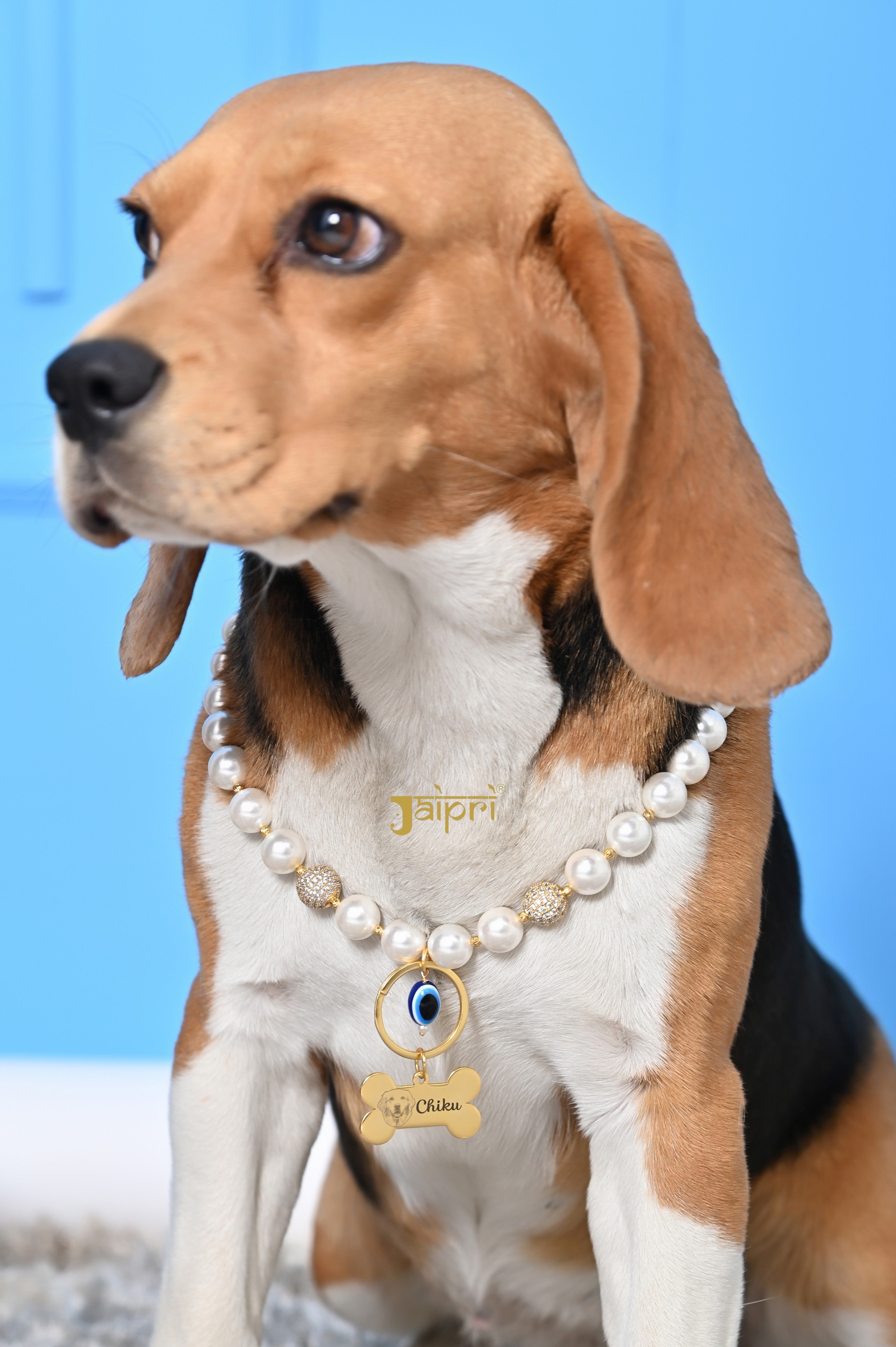 Custom Dog Name and Image Pearl Collar Pet Jewelry
