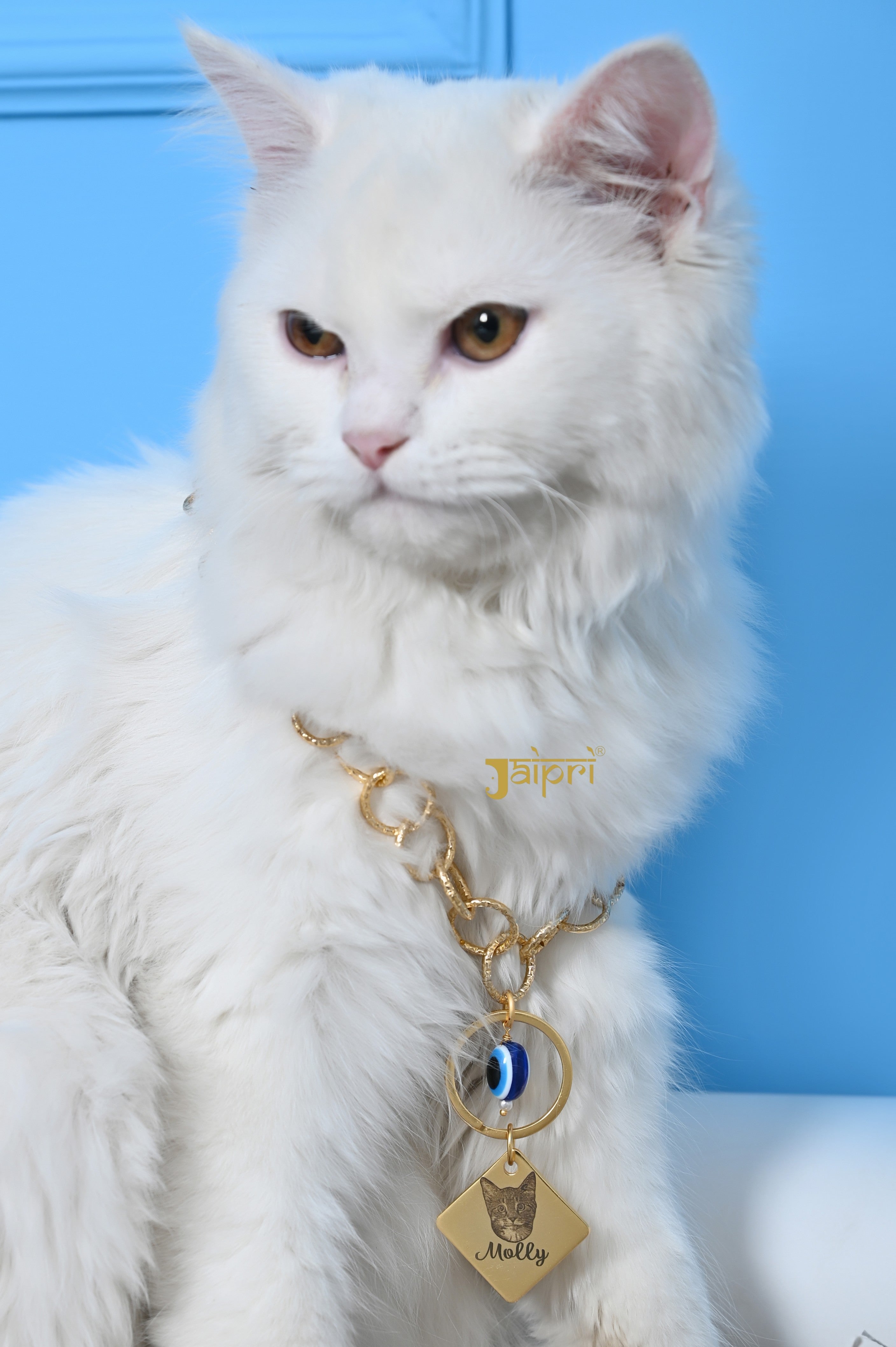 Custom Cat Name and Image Chain Collar Jewelry For Pets Gift