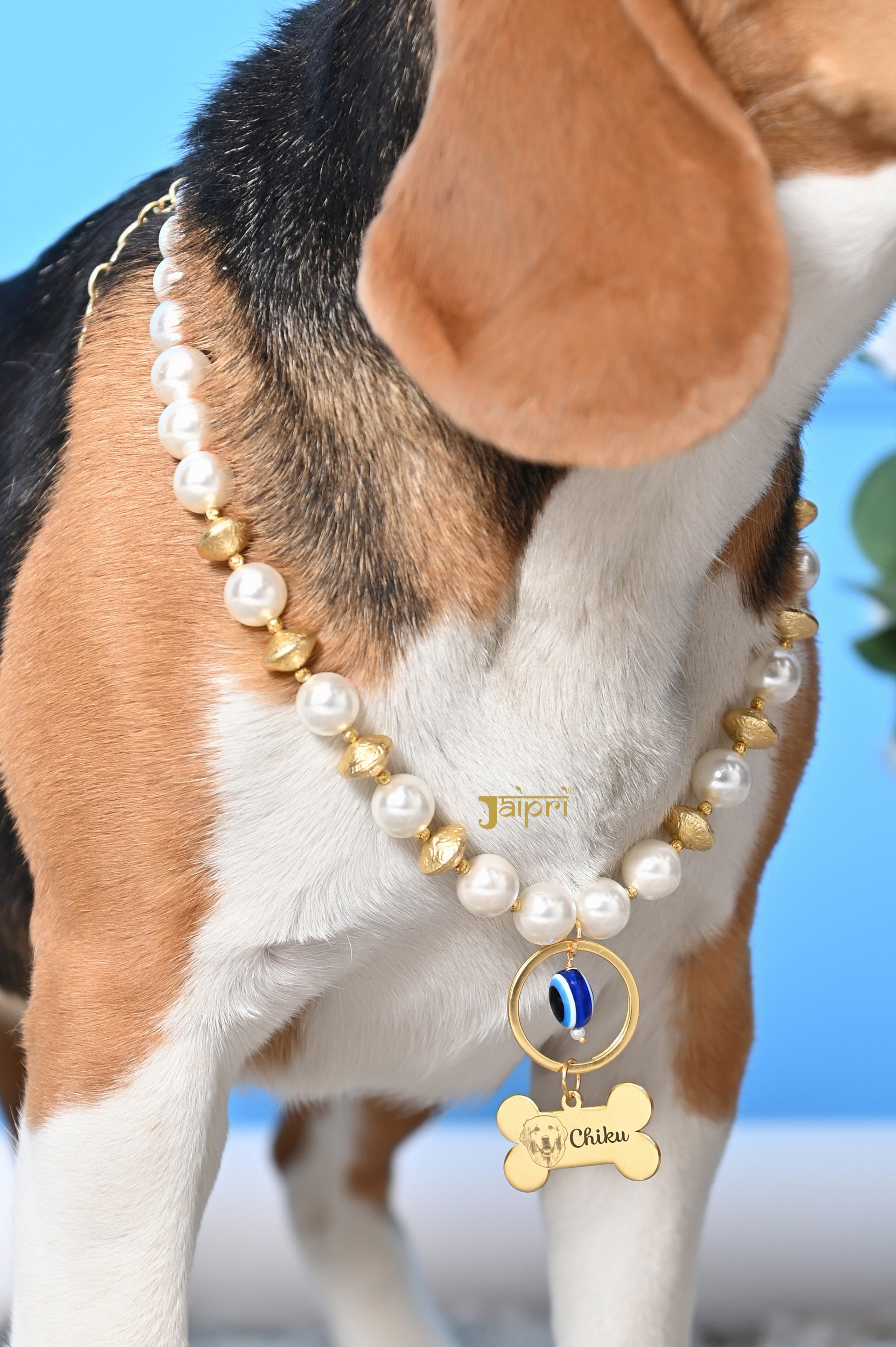 Custom Image and Dog Name Pearl Collar Pet Jewelry