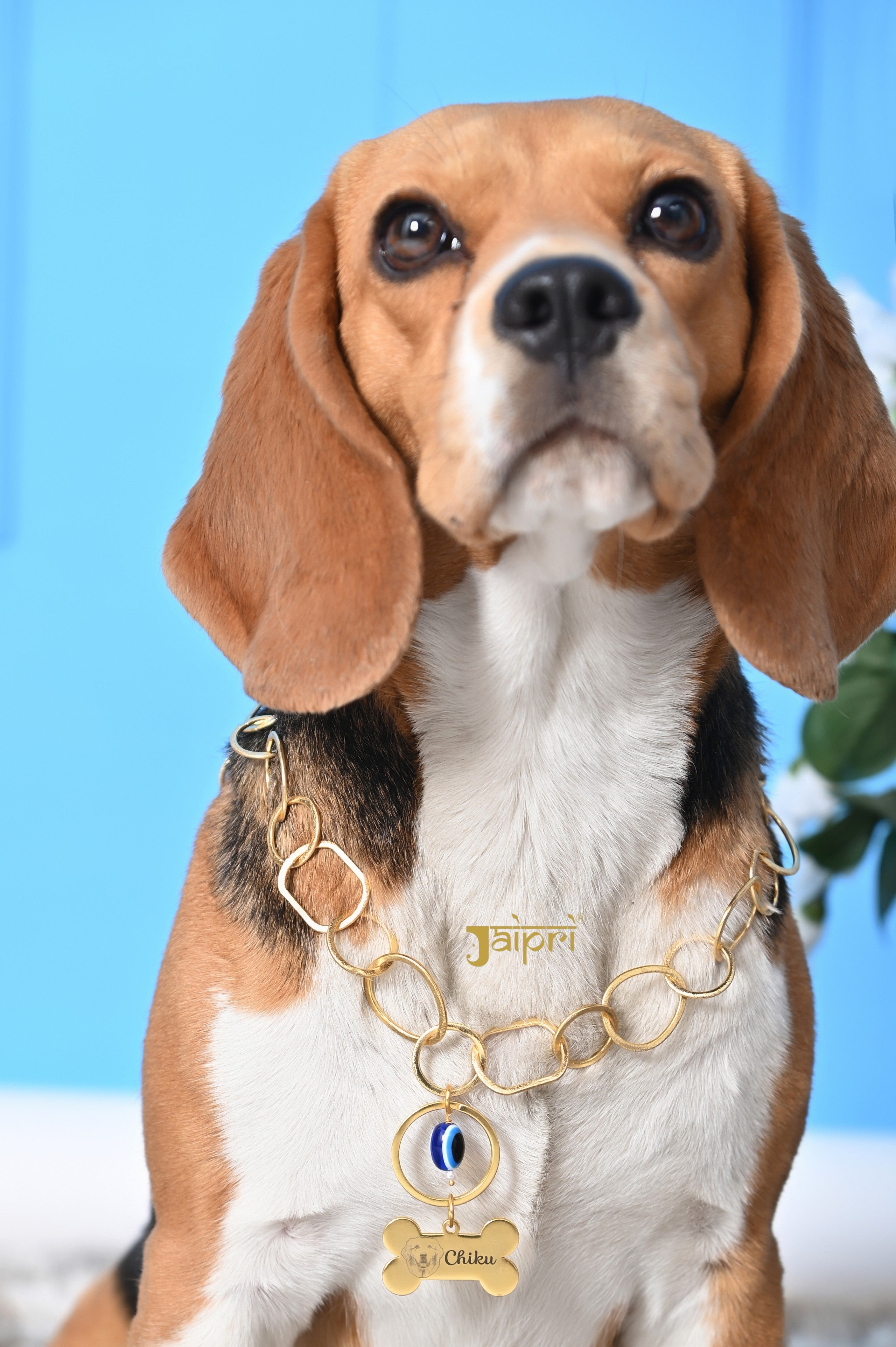 Custom Dog Name and Image Chain Collar Pet Jewelry