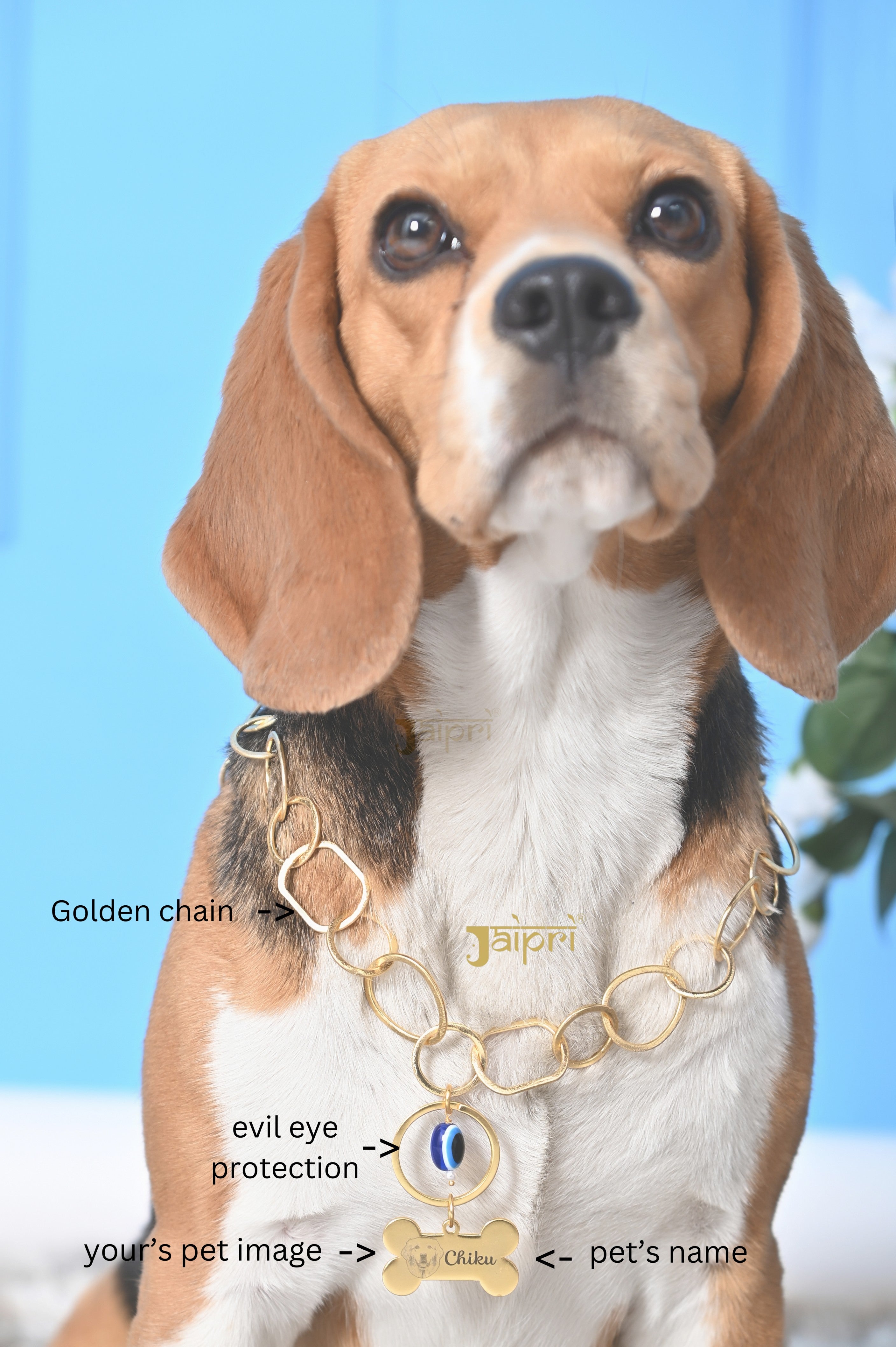 Custom Dog Name and Image Chain Collar Pet Jewelry